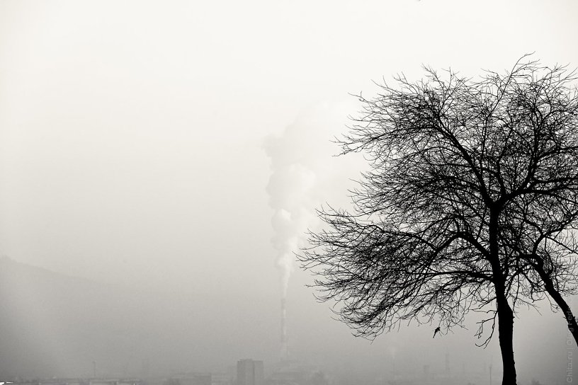 Великий смог Читы – фотографии укутанного пеленой города