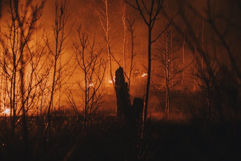 ГП отнесла Приангарье к регионам, где недостаточно обеспечивают защиту от лесных пожаров