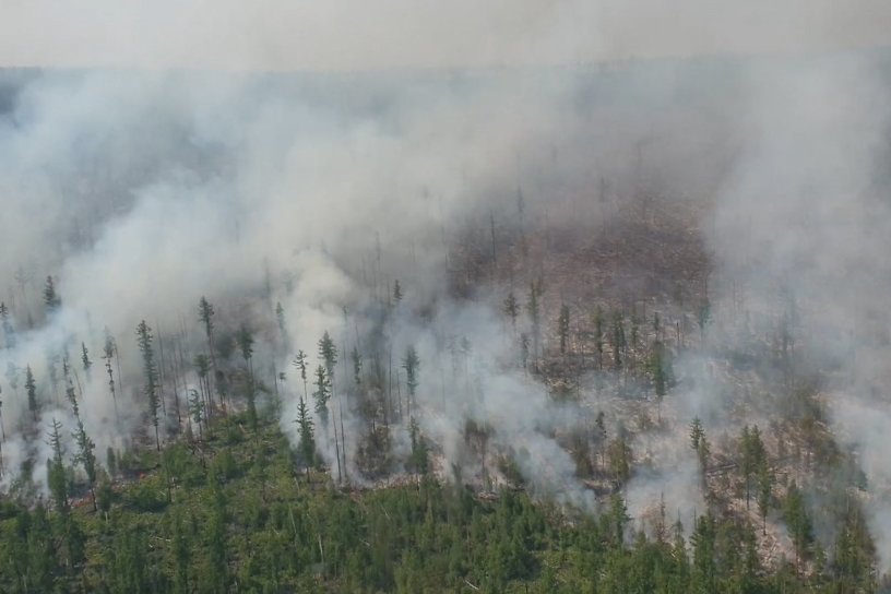 Дым от лесных пожаров в Якутии пришёл в Забайкальский край