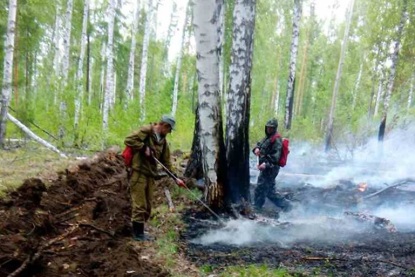 Кобзев о лесных пожарах в Иркутской области: Главное не сглазить