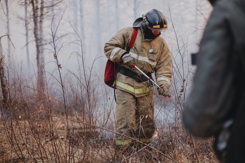 Пожарные локализовали пожар на Батарейной сопке в Чите